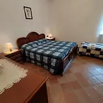 Salagona * Laggio di Cadore