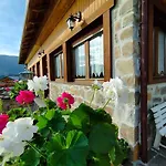 Salagona * Laggio di Cadore