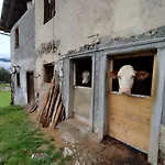 Salagona Laggio di Cadore