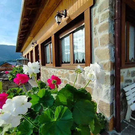 Salagona * Laggio di Cadore